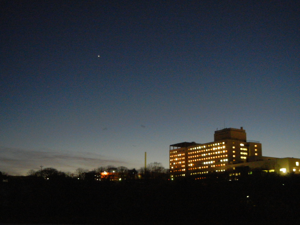 リハビリの夜